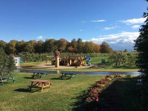 vergers-blair-orchards-4